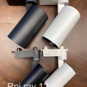 Rọi ray 12w