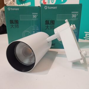 Rọi ray 30w